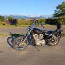 Harley Davidson 883 Sportster - фото 3