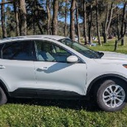 Ford Escape - фото 6