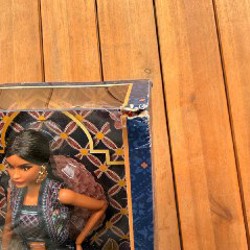 Barbie Diwali - фото 2