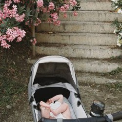 Коляска Bugaboo Dragonfly 2 в 1 - фото 7