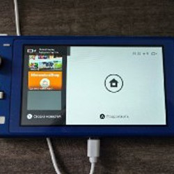 Nintendo Switch Light - фото 3