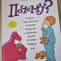 Прогулки в лесу - фото 3