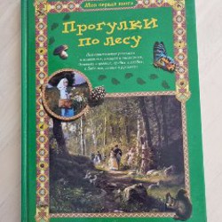 Прогулки в лесу - фото 7
