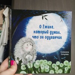 Книги - фото 4