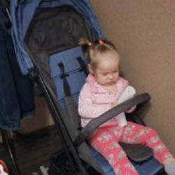 Коляска - фото 4