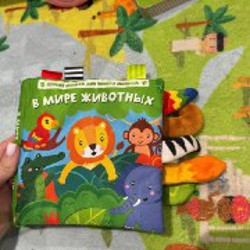 Книги - фото 2