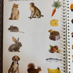 Многоразовая тетрадь развивашка - фото 5