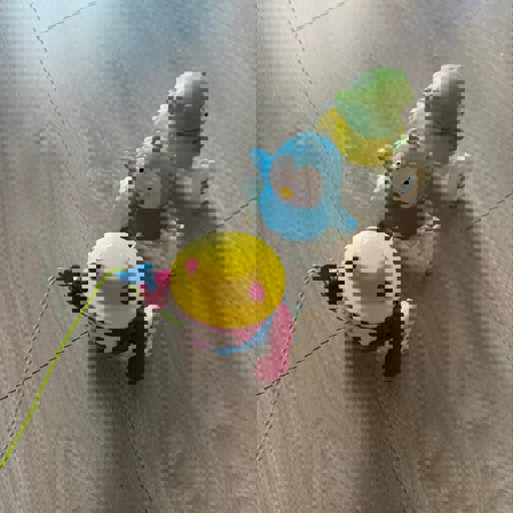 Сортер морковка