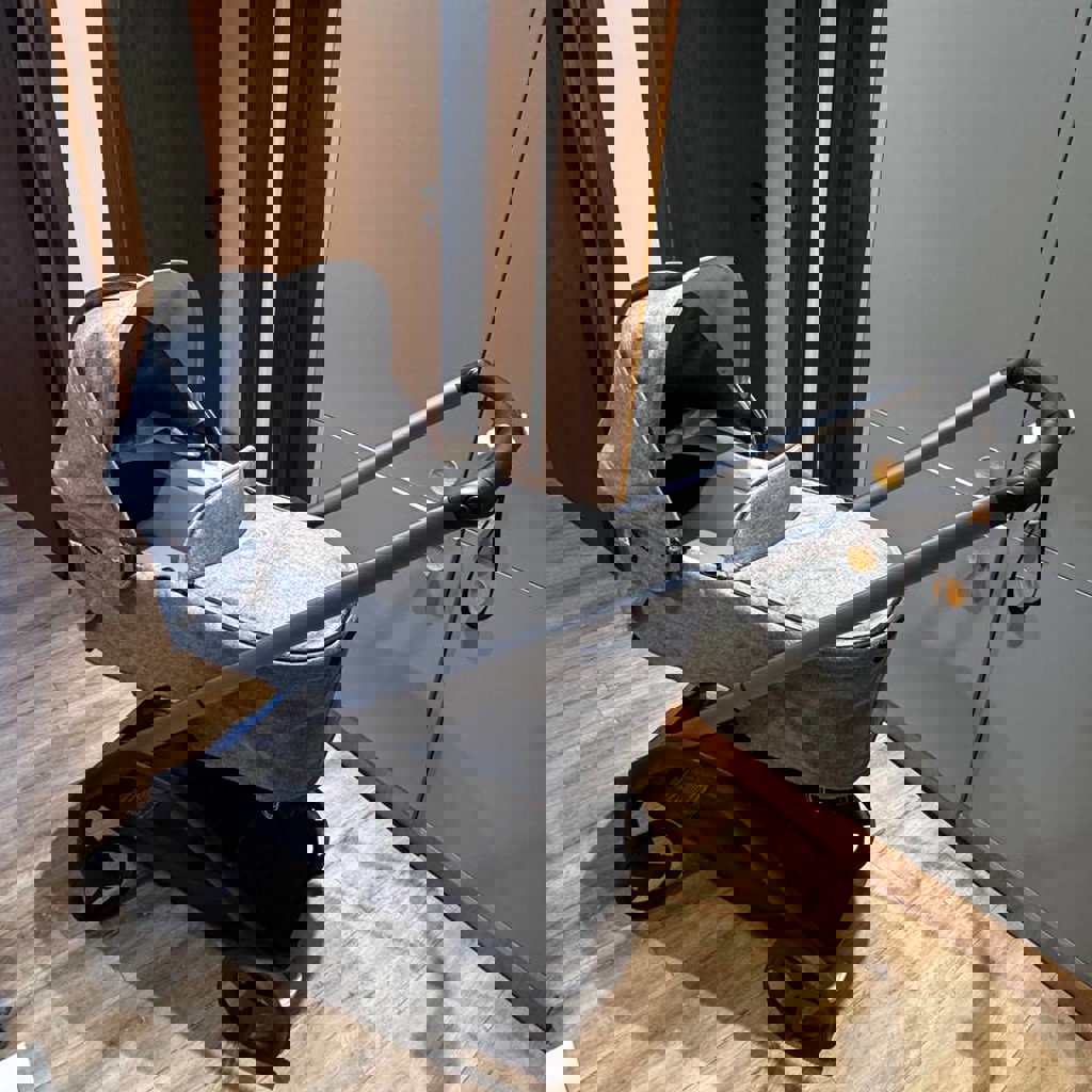 Коляска Bugaboo Dragonfly 2 в 1