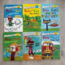 Книга - фото 3