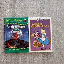 Книга - фото 4