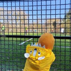 Куртка-львенок - фото 2