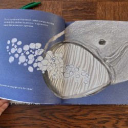 Кит плывет на север - фото 6