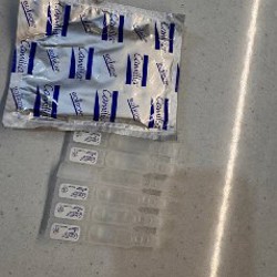 Камилия - фото 2