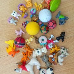 Image 5