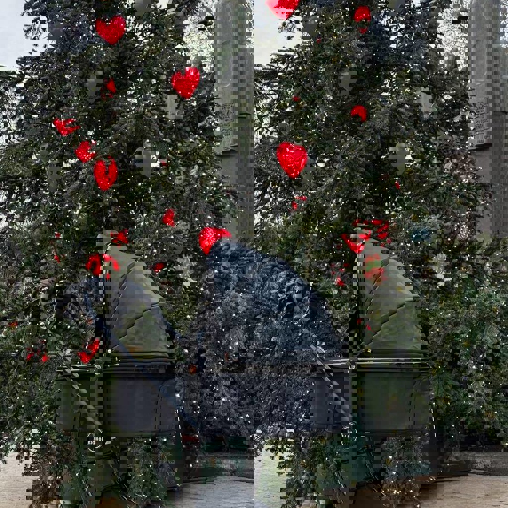 Коляска с автокреслом