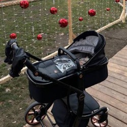 Коляска с автокреслом - фото 3