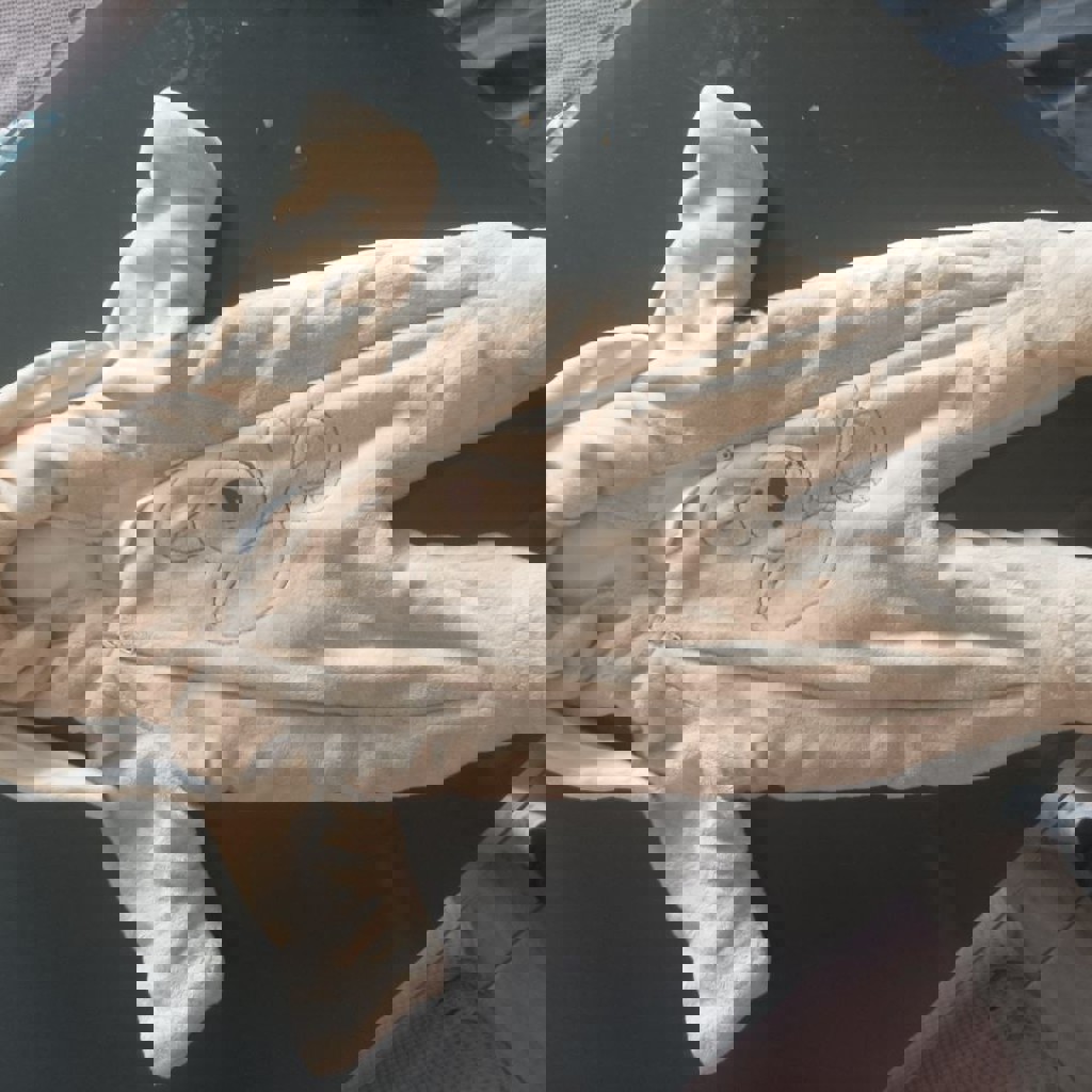 Комбинезон на холодную весну