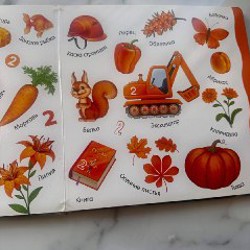 Книга цвета слова цифры - фото 3