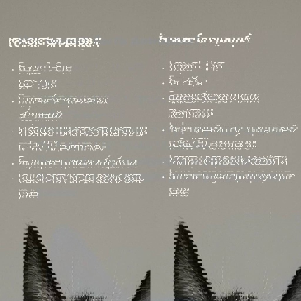 Донор крови для кошки