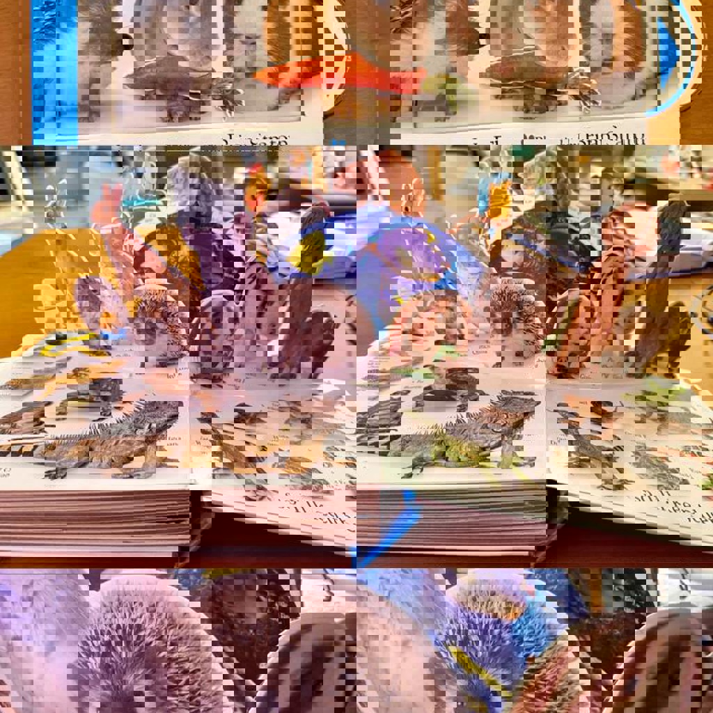 Подгузники Canbebe