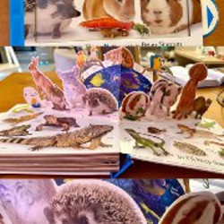 Подгузники Canbebe - фото 1