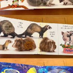 Подгузники Canbebe - фото 2