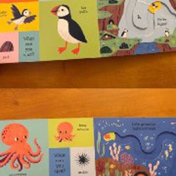 Подгузники Canbebe - фото 4