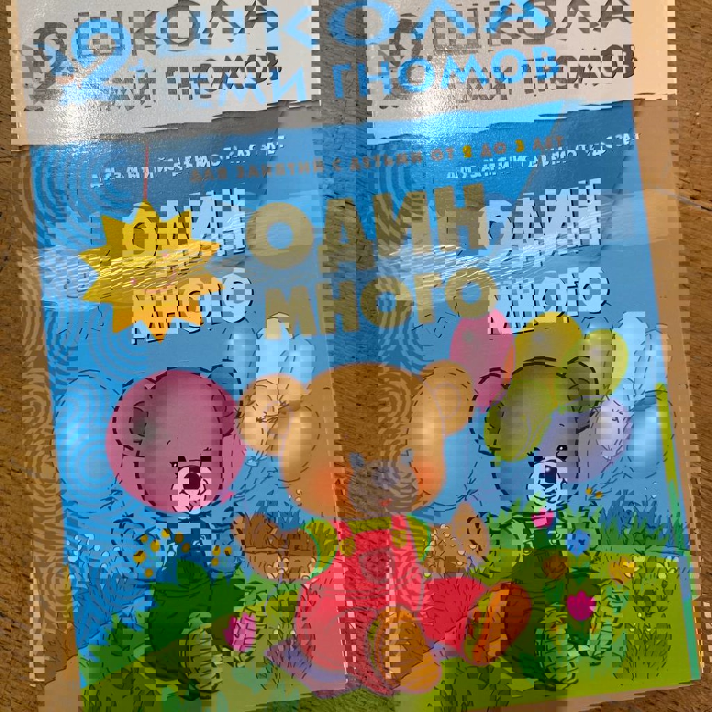 Школа 7 гномов