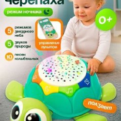 Деревянная игрушка-сортер - фото 2