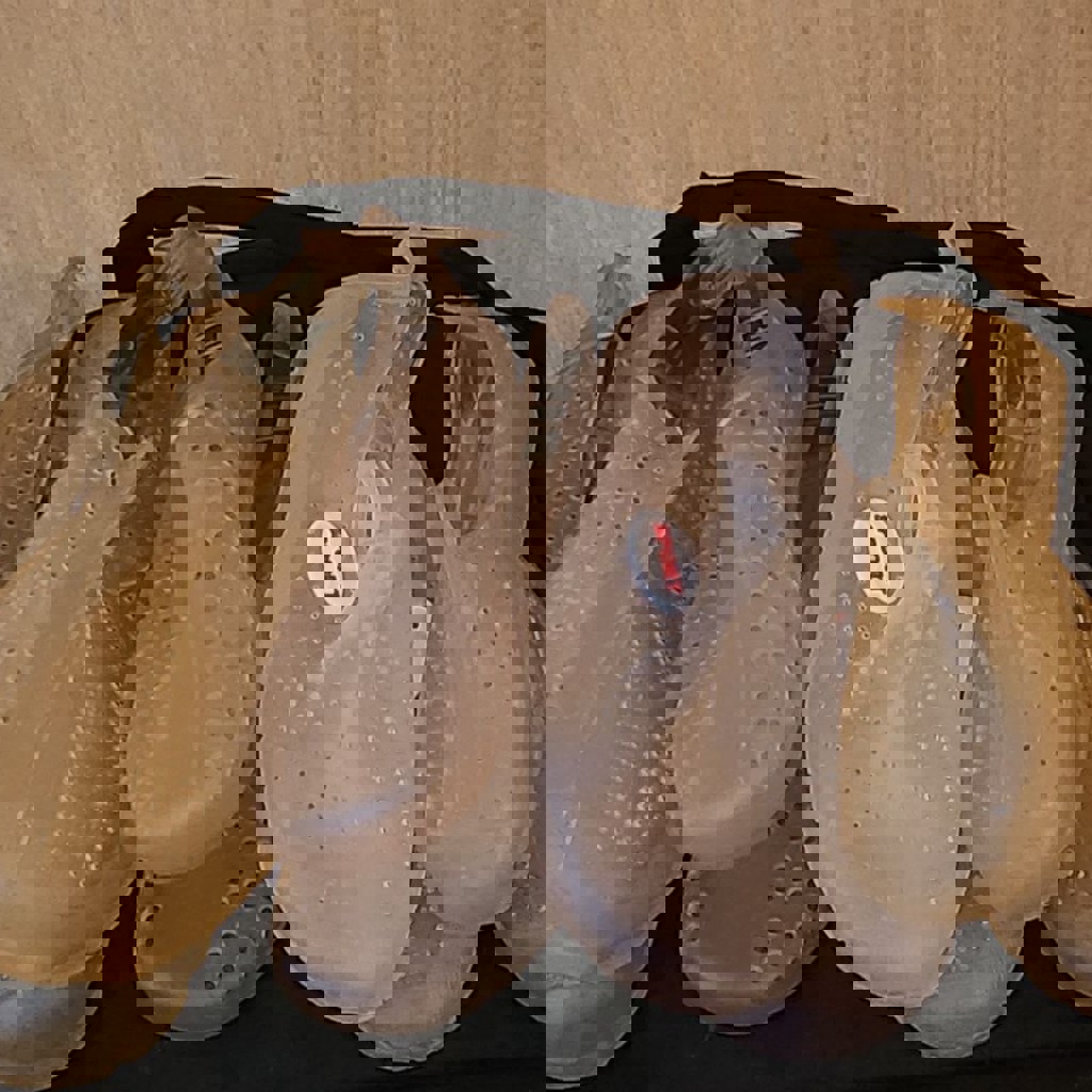 Тапочки для моря