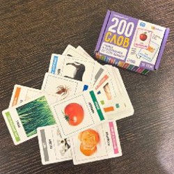 Досочки сегена - фото 5