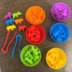 Досочки сегена - фото 6