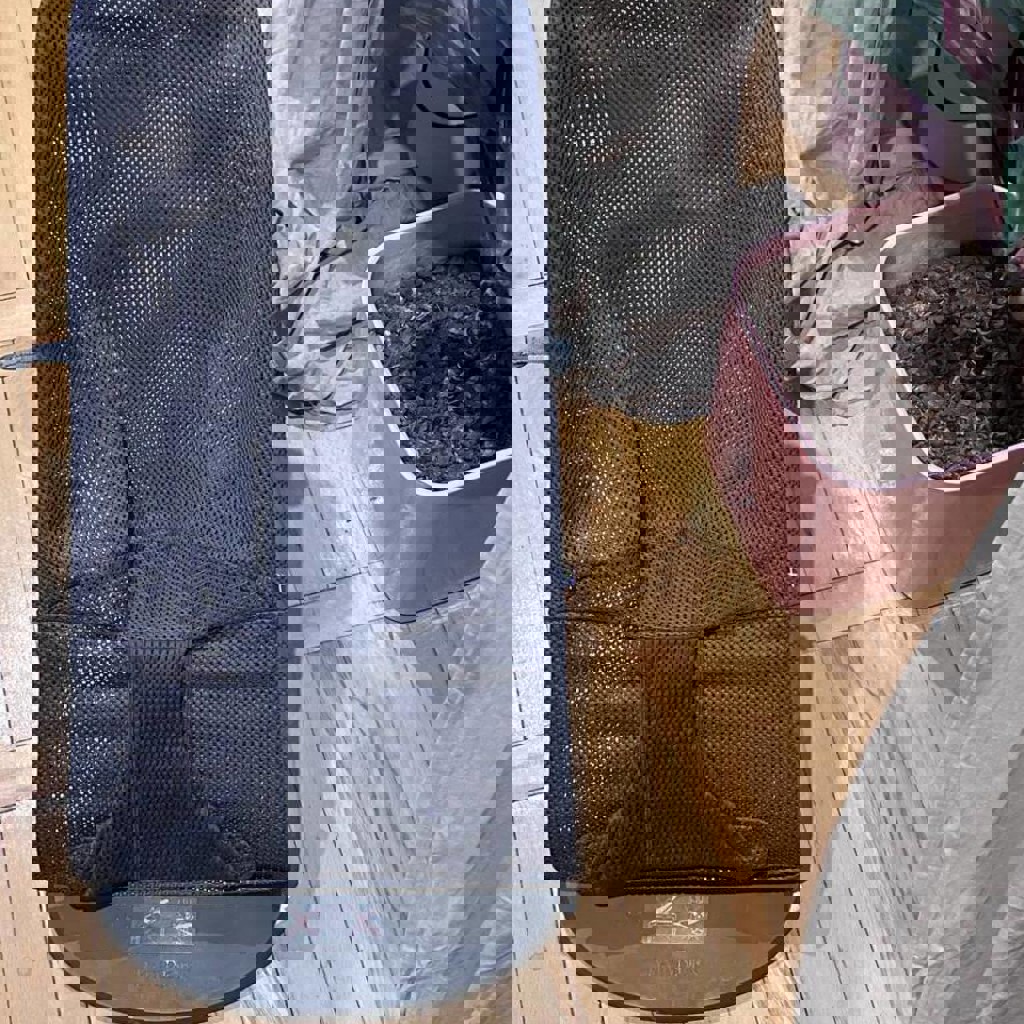 Шезлонг Babybjorn