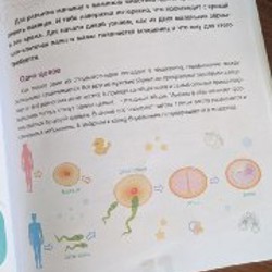 На ферме. Книжка с окошками - фото 7