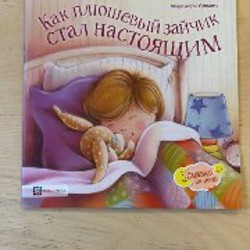 Миссия Дикого робота - фото 8