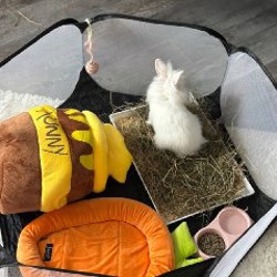 Корм - фото 1