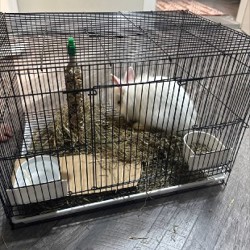 Корм - фото 2