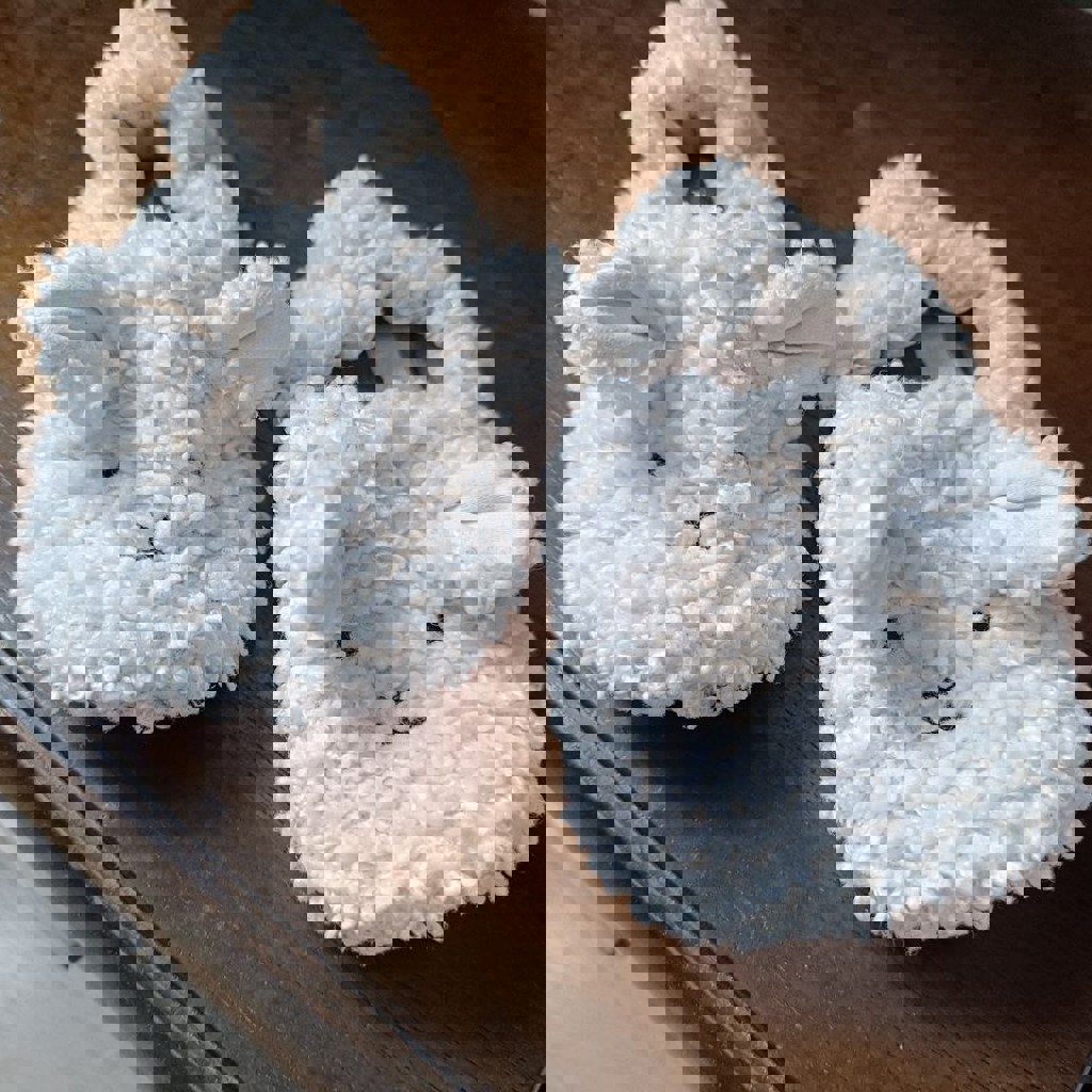 Тапочки детские Zara