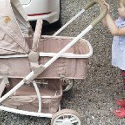 Коляска 2 в 1 - фото 3