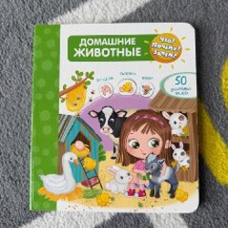 Мое тело с окошками - фото 1