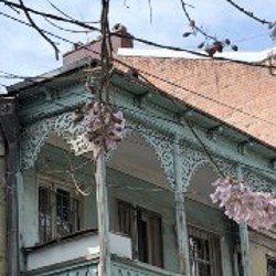 Стульчик для кормления Cangaroo Bueno - фото 2