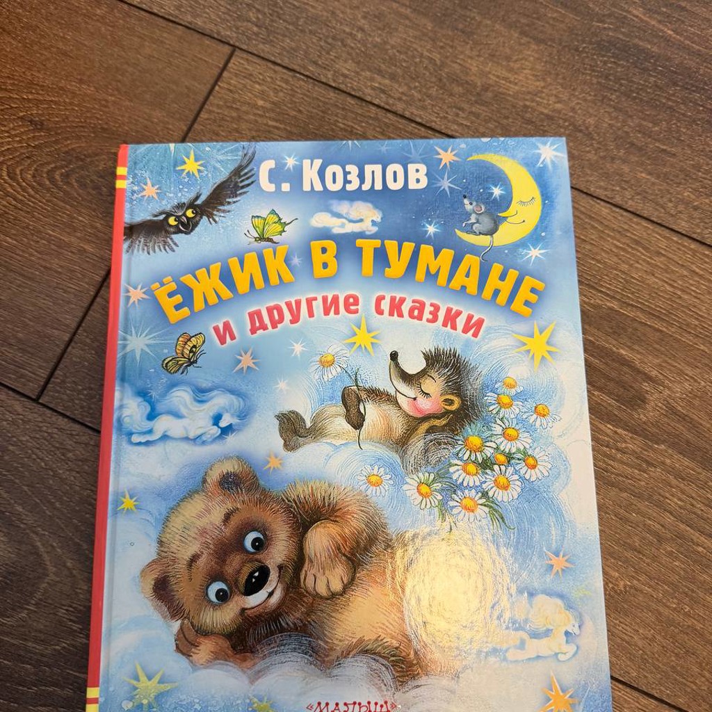 Моя первая книга