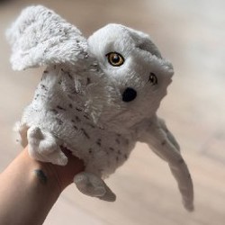 Панамка - фото 4