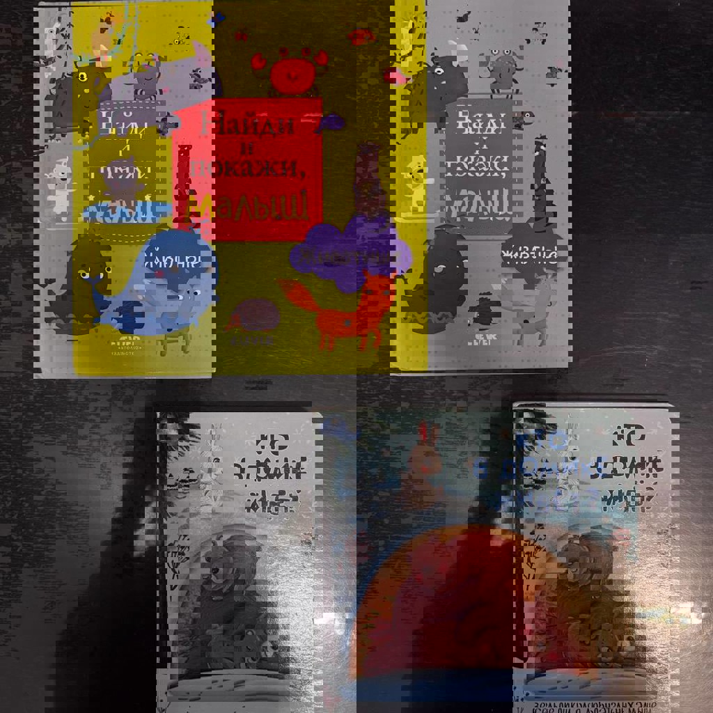 Книга с окошками (обе)