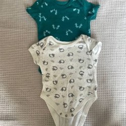 Бодики - фото 4