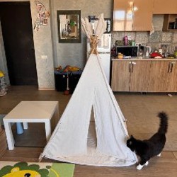 Вигвам - фото 2