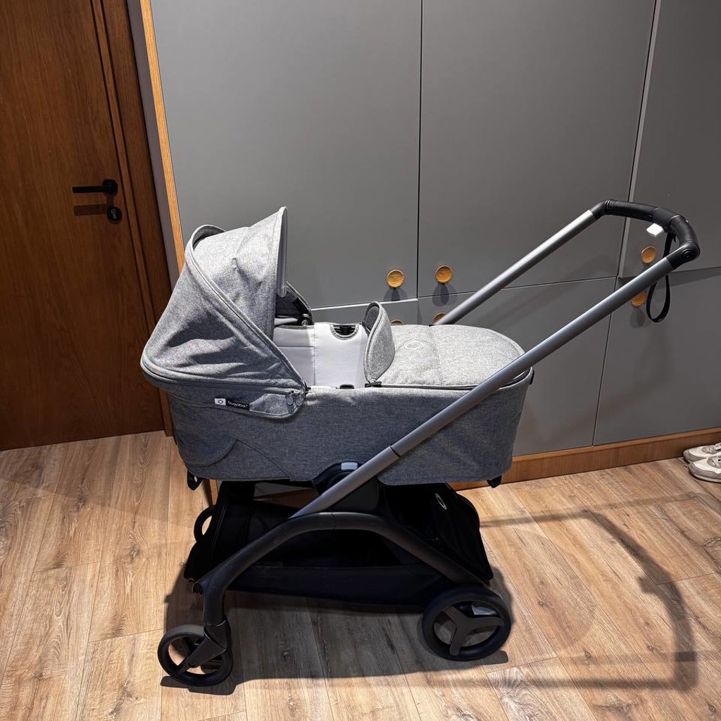 Bugaboo Dragonfly 2 в 1