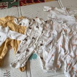 Спилы слитные - фото 1