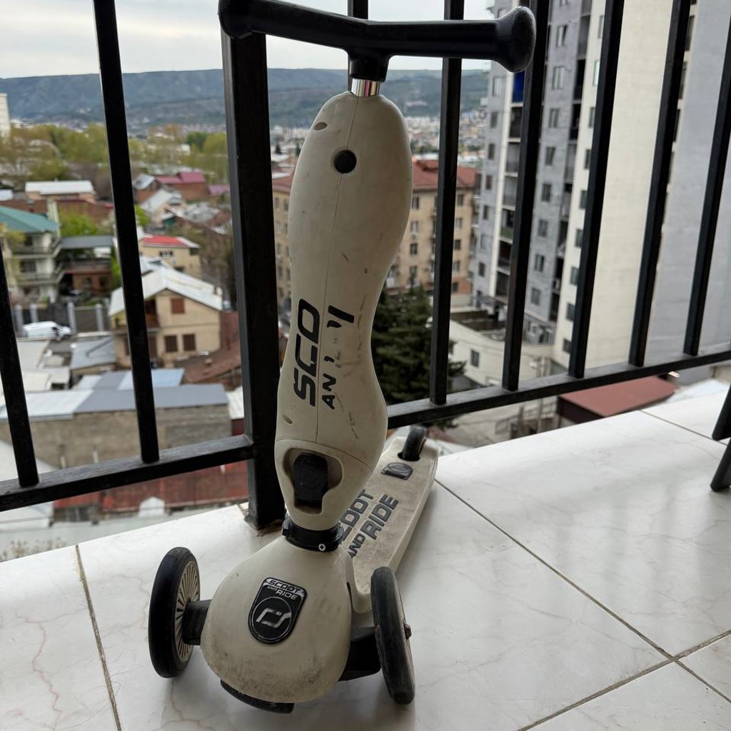 Самокат Scoot and Ride